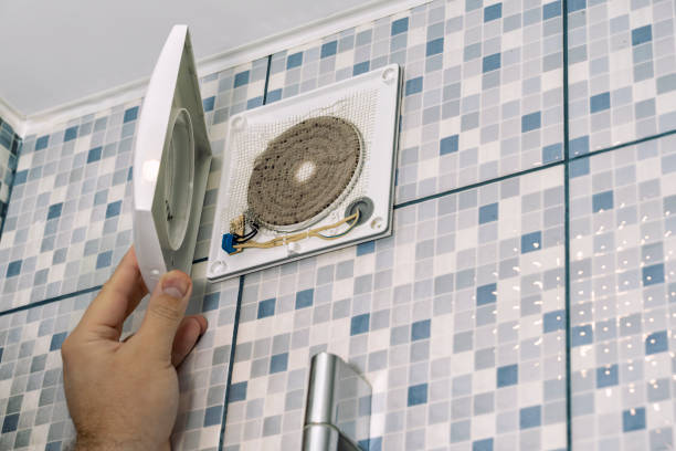 Best Ductwork Cleaning Services  in Rosita, TX