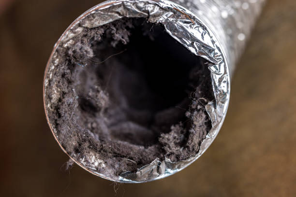 Best HVAC Air Duct Cleaning  in Rosita, TX
