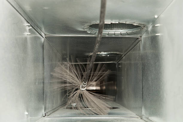 Best Affordable Air Duct Cleaning  in Rosita, TX