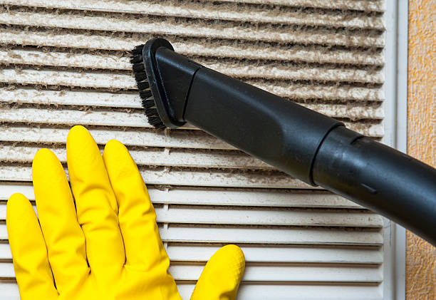 Best Affordable Air Duct Cleaning  in Rosita, TX