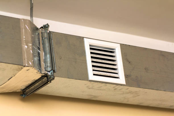 Best Best Air Duct Cleaning Company  in Rosita, TX