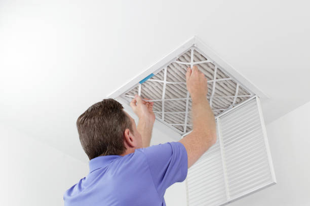 Best Best Air Duct Cleaning Company  in Rosita, TX